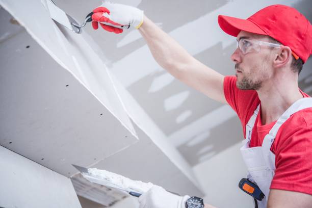 Best Drywall Removal and Disposal  in Navarre Beach, FL